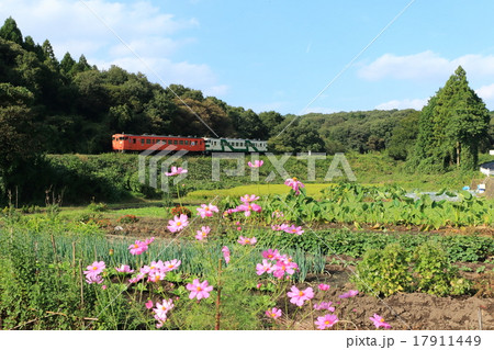 秋の烏山線沿線風景とキハ４０ 17911449
