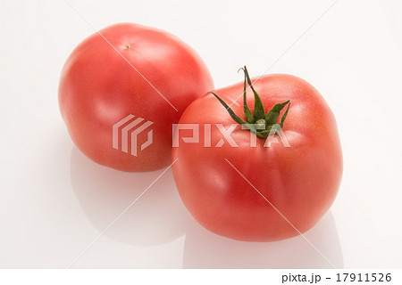 トマト 17911526