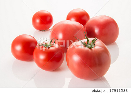 麗夏トマトと高リコピントマトの写真素材