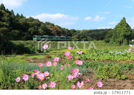 烏山線沿線風景と新型車両(アキュム) 烏山線沿線風景と新型車両(アキュム) 17911771