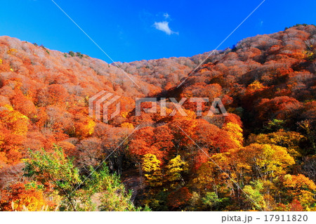 泥湯温泉の紅葉 泥湯温泉の紅葉 17911820