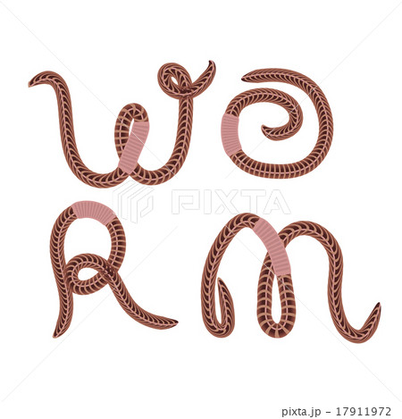 Animal Earth Red Worms 17911972