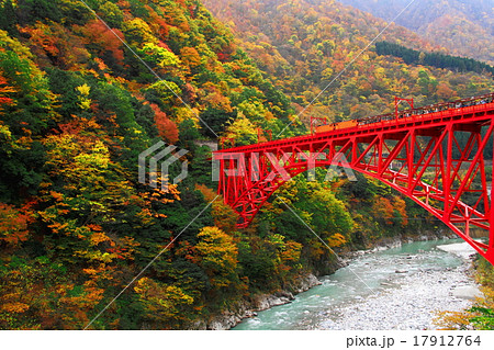 黒部峡谷の紅葉 黒部峡谷の紅葉 17912764