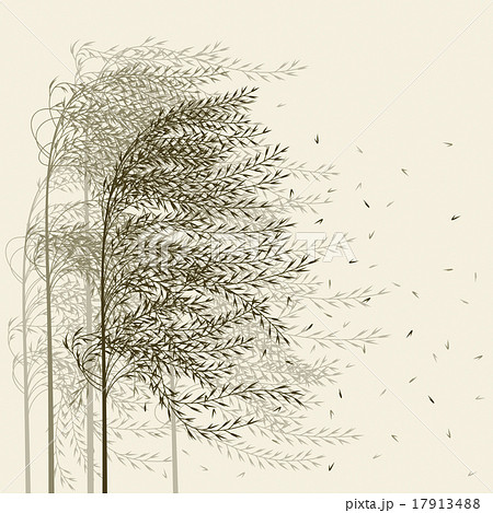 Reed background Reed background 17913488