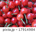 さくらんぼ 17914984