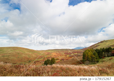 車山高原 車山肩 から見た景色 秋 紅葉の写真素材