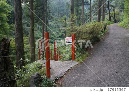 秩父華厳の滝 17915567