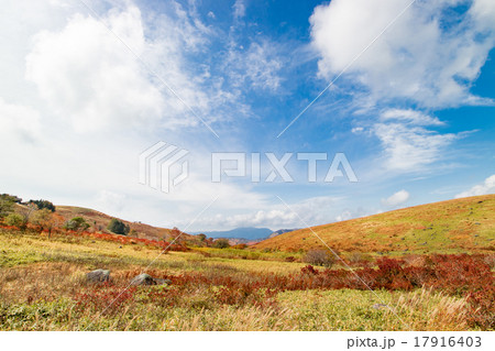 車山高原から見た景色 秋 紅葉の写真素材