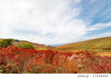 車山高原から見た景色 秋 紅葉の写真素材