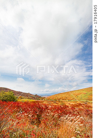 車山高原から見た景色 秋 紅葉の写真素材