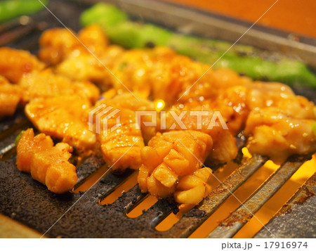 ホルモン 17916974