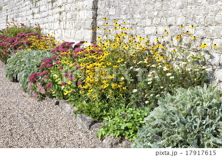 Autumn colourful flowers in a cottage stone garden 17917615