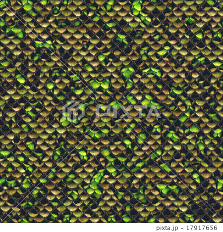 Snake skin Snake skin 17917656