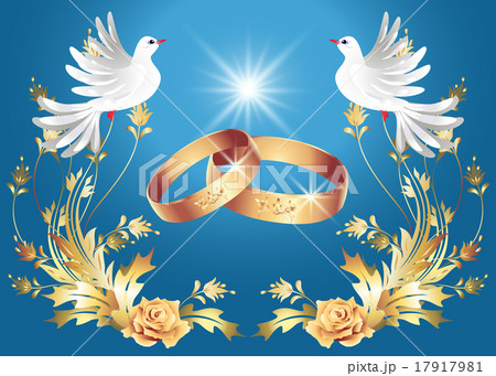 Wedding rings and two doves Wedding rings and two doves 17917981