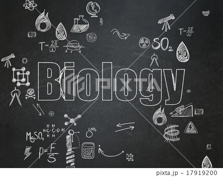 Science concept: Biology on School Board 17919200