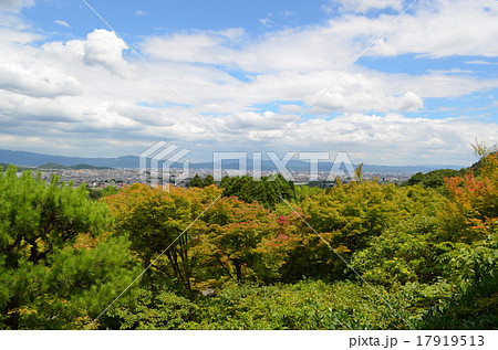 大河内山荘庭園　展望台 17919513