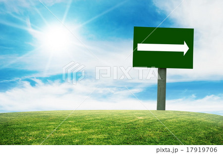 field 17919706
