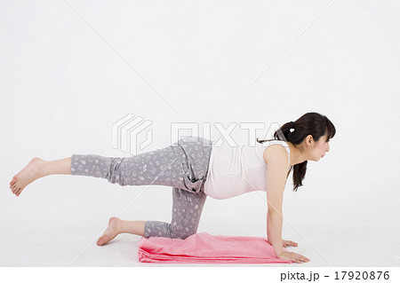 白い背景で床に四つん這いになって足上げエクササイズをする妊婦の写真素材