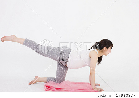 白い背景で床に四つん這いになって足上げエクササイズをする妊婦の写真素材