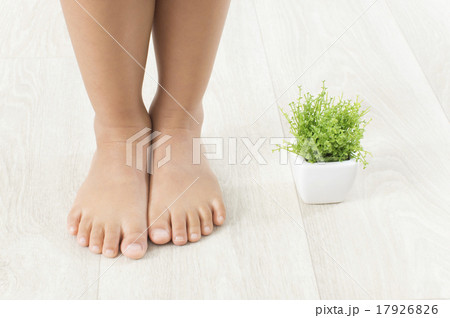 子供の足と観葉植物 子供の足と観葉植物 17926826