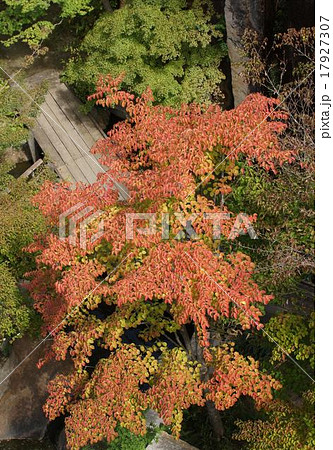 紅葉風景 俯瞰 紅葉風景 俯瞰 17927307