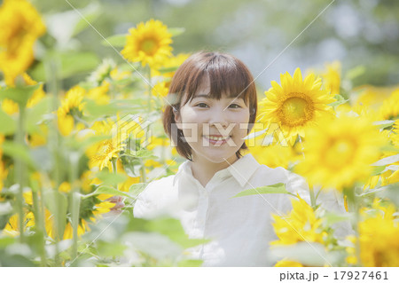 ひまわり畑の女性 17927461