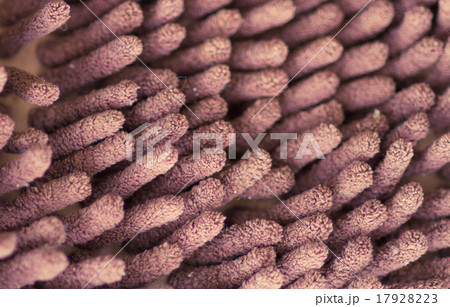 abstract background soft focus of microfiber abstract background soft focus of microfiber 17928223