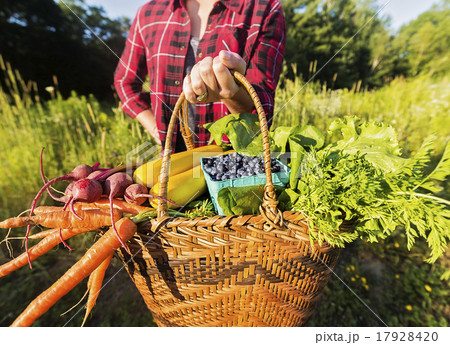 Mid section of woman holding basket with vegetables and fruits 17928420