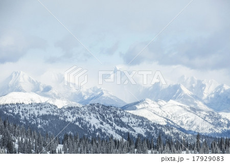 Landscape with mountains and forest in winter 17929083