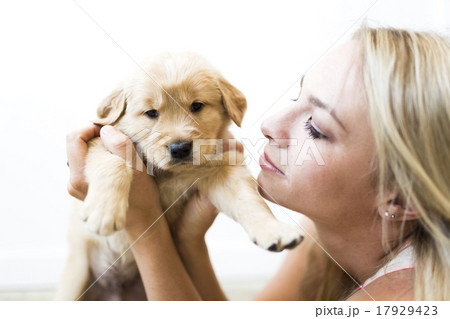 Portrait of Golden Retriever puppy with owner Portrait of Golden Retriever puppy with owner 17929423