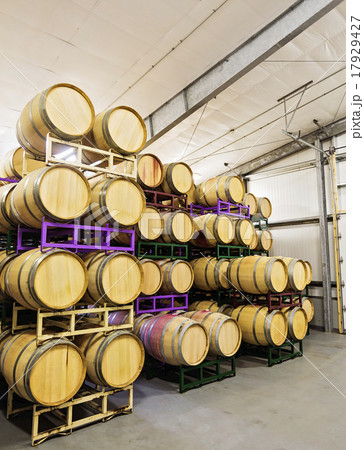 Wine barrels on racks in cellar 17929427