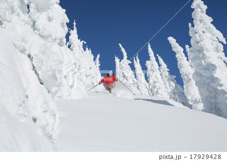 Mature woman skiing between trees covered with snow 17929428
