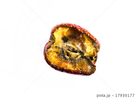 rot apple with  fungi rot apple with  fungi 17930177