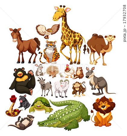 Different Type Of Wild Animalsのイラスト素材