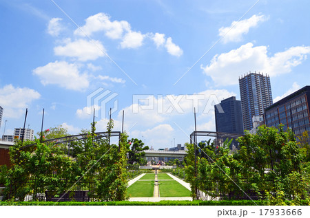 大阪　中之島公園の風景 17933666