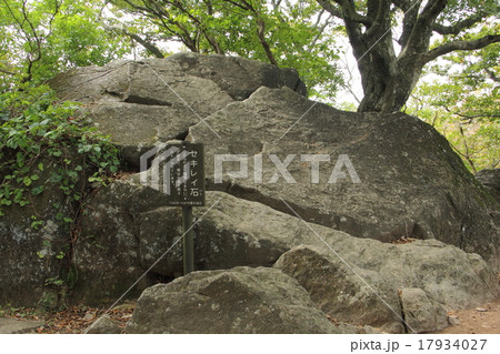 セキレイ石（筑波山） 17934027