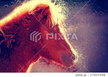 Pony portrait. Digital drawing 17935498