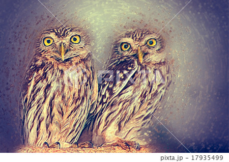 Athene Owl Illustration 17935499
