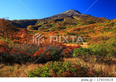 鳥海山 竜ケ原湿原の紅葉 鳥海山 竜ケ原湿原の紅葉 17935619