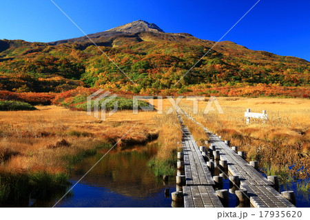 鳥海山 竜ケ原湿原の紅葉 鳥海山 竜ケ原湿原の紅葉 17935620