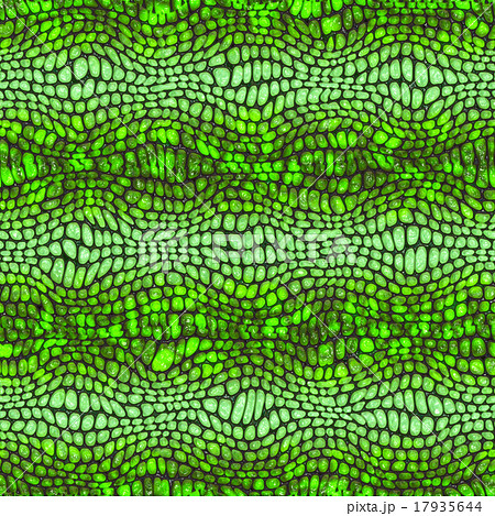 Snake skin 17935644