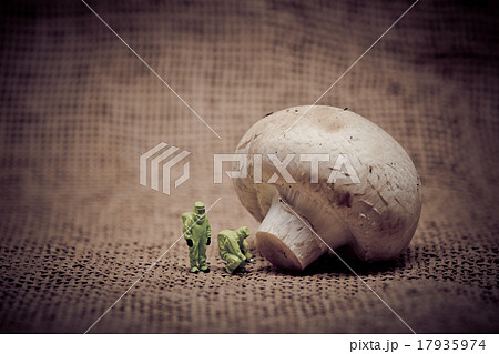 People in protective suit inspecting a mushroom People in protective suit inspecting a mushroom 17935974