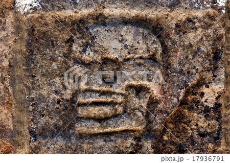 skull the abstract incision skull the abstract incision 17936791