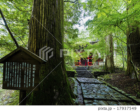 滝尾神社楼門 17937549