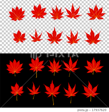 秋天的樹葉 17937620