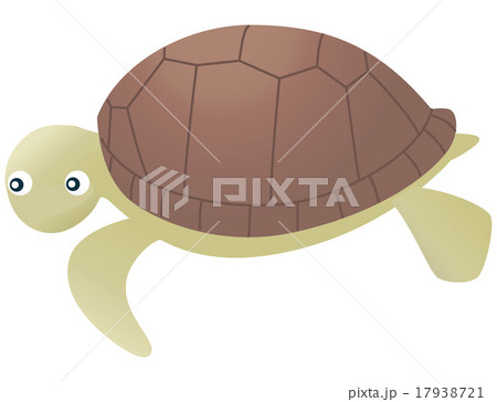 ウミガメ ウミガメ 17938721