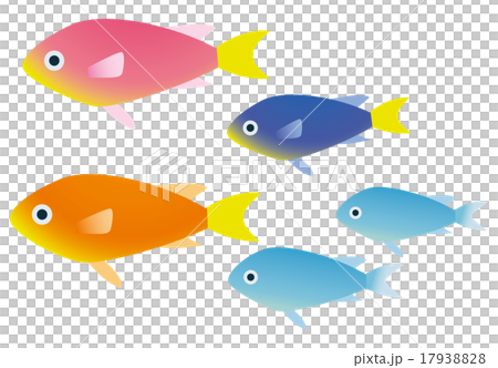 Damselfish Damselfish 17938828