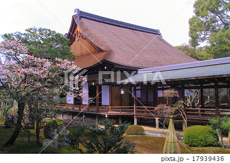 大覚寺(京都 嵯峨野)春の庭園 大覚寺(京都 嵯峨野)春の庭園 17939436