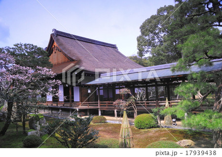 大覚寺(京都 嵯峨野)春の庭園 大覚寺(京都 嵯峨野)春の庭園 17939438