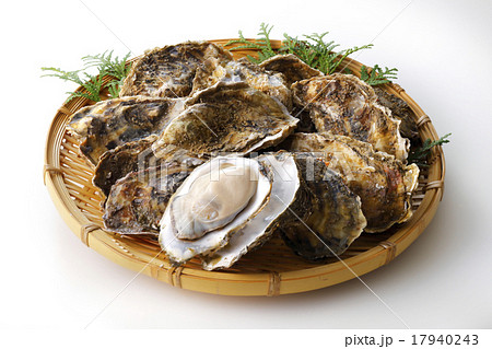 牡蠣 牡蠣 17940243